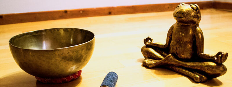 Finde die passende Yogapraxis für dich: Hatha Yoga, Vinyasa Yoga & Yin Yoga.